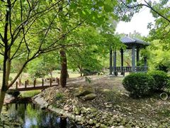-上海师范大学附属中学(三林校区)