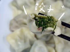 茴香猪肉水饺-孖妹上肉饺子馆