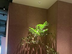 -柴门头啖汤·经典川菜·慢火汤品(锦城万达店)
