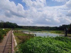 -东平国家森林公园