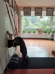 点击看大图 -成都阿难陀艾扬格瑜伽中心