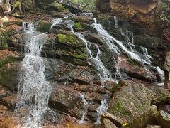 -五女峰国家森林公园