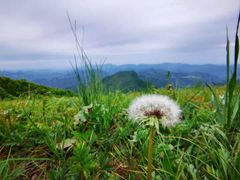 -白草畔自然风景区