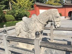 -洛阳白马寺