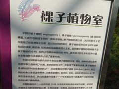 -北京植物园-展览温室