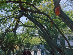 -烟台山景区