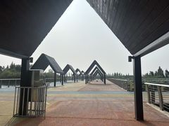 -滆湖低碳生态公园