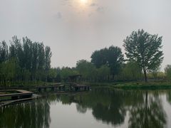 -东郊湿地公园