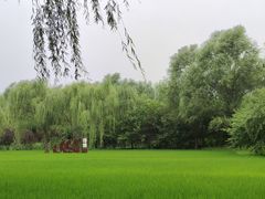 -北坞公园