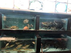 水产区-湛香海鲜城(三乡店)
