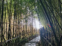 -竹子庵公园