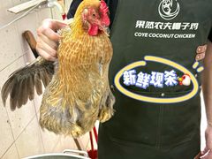 -果然农夫椰子鸡(虎门大润发店)