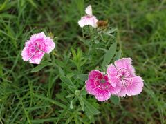 景点-汉长安城未央宫国家考古遗址公园