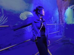 -中国西峡恐龙遗迹园