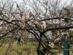 -南通博物苑-崇川人民公园