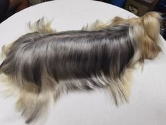 -小尾巴宠物店(万科·金域华庭店)