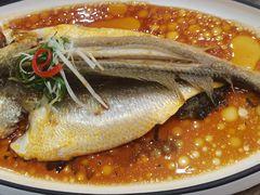 清蒸大黄鱼-佳味海鲜(华春路店)