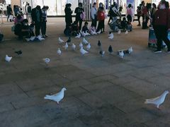 -越小品·越南餐厅(万科里店)
