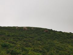-灵山