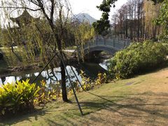 -四海公园(南山区)