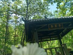 -句容茅山景区