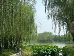 -济南方特东方神画