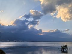 -洱海月湿地公园