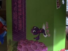 -马陆小张葡萄园农家乐