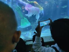 -邯郸海洋世界