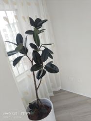 -HEYAN荷妍专业脱毛连锁机构