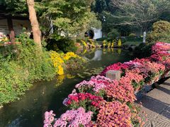 -杭州植物园