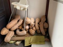 -丫丫蟹庄·苏式园林农家乐·阳澄湖大闸蟹(阳澄湖莲花岛店)