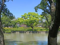 -江心屿景区