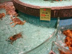 -西贝海鲜汇(槐安路店)