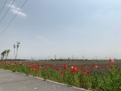-嘉北郊野公园