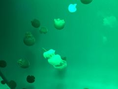 -福州罗源湾海洋世界旅游区