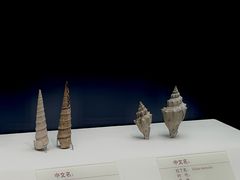 -天津自然博物馆
