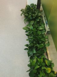 -苗医生0感科技祛痘