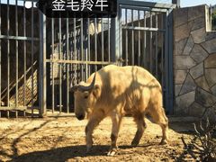 -无锡动物园·太湖欢乐园