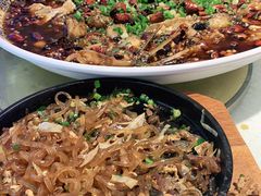-新概念来凤鱼(璧山店)