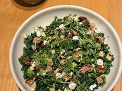 -O'eat Blossom&Pelican(深圳首店)