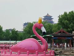 -莲花池公园