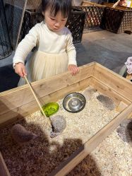 -酷嗒动物文化乐园(cutezoo西溪乐天城店)