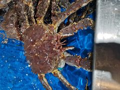 -盒马鲜生(顺义店)