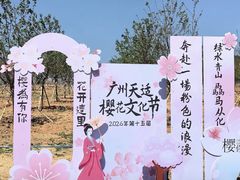 -天适樱花悠乐园
