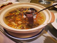 虫草炖野生鸽-宝界普菲特湖畔酒店