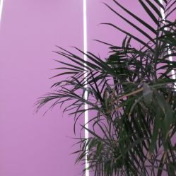 -沐泽SALON
