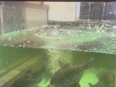 -鱼痴渔醉·食鲜集(月亮湾店)