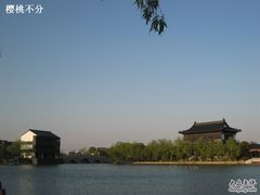 -南汇桃花村