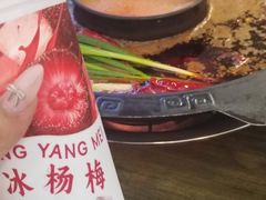 -黄潇洒老火锅(九眼桥宏济巷店)